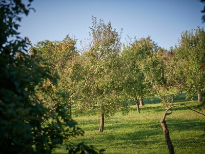 Holiday apartment Zum Schloss - Outdoor photo 8