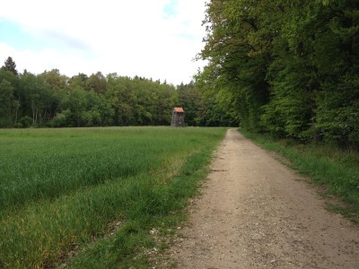 Holiday apartment Zum Schloss - Environment photo 29