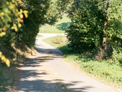 Holiday apartment Zum Schloss - Environment photo 34