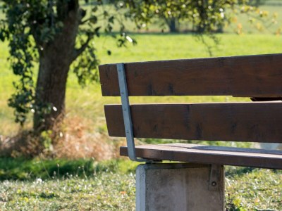 Holiday apartment Zum Schloss - Environment photo 35