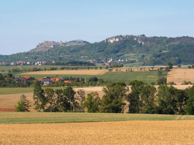 Holiday apartment Zum Schloss - Environment photo 38