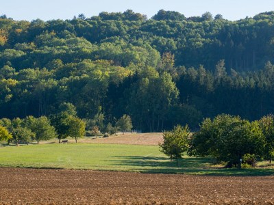 Holiday apartment Zum Schloss - Environment photo 39