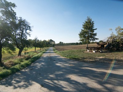 Holiday apartment Zum Schloss - Environment photo 40