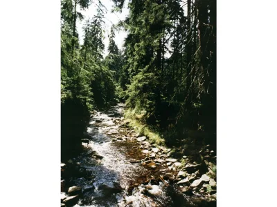 Holiday apartment Pension Bergblick - Environment photo 13