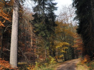 Holiday apartment Pension Bergblick - Environment photo 14