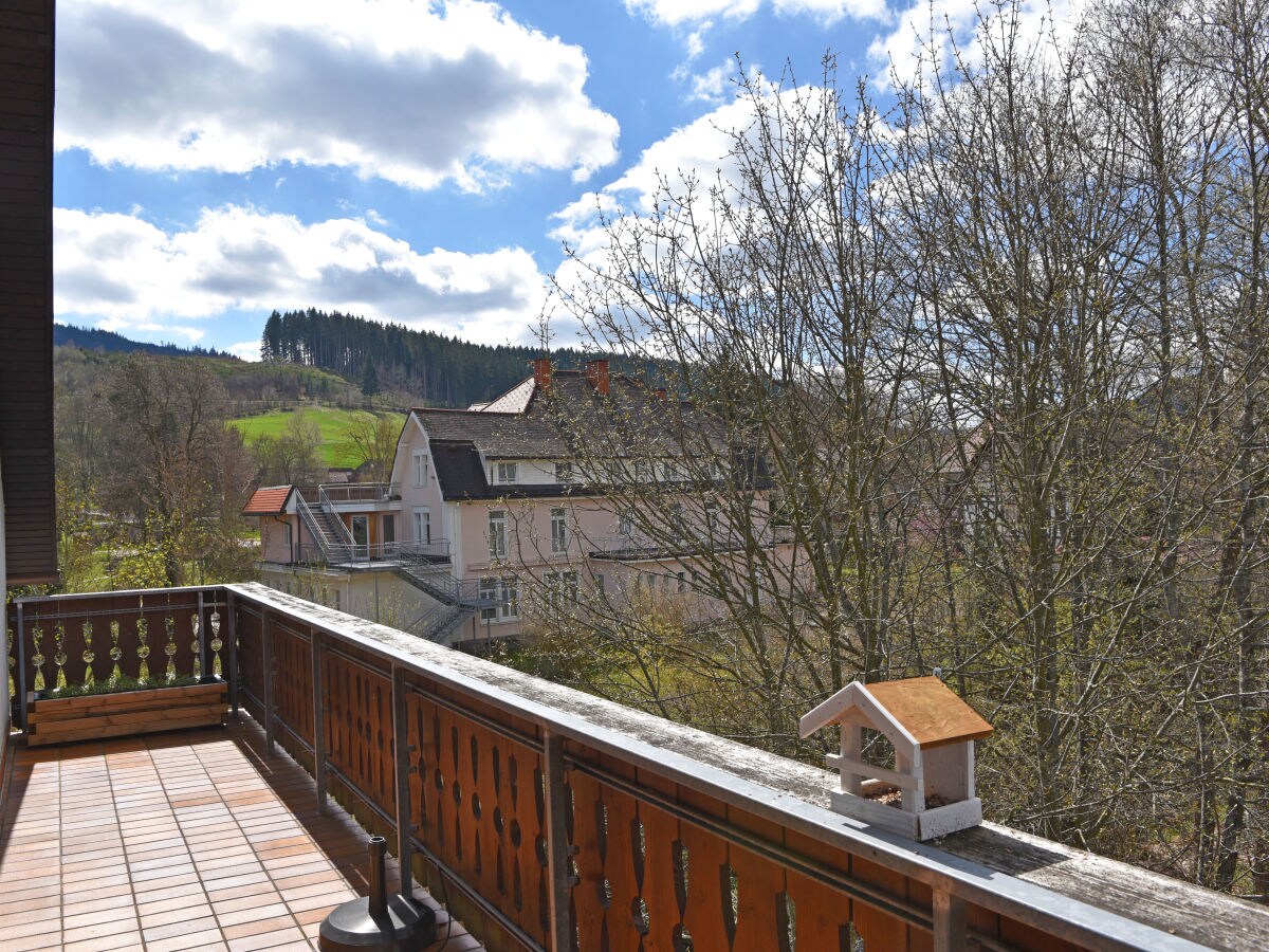 Holiday apartment teufelsschwaenzli - Outdoor photo 4