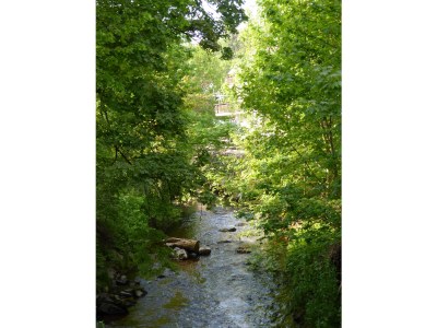 Holiday apartment teufelsschwaenzli - Environment photo 15