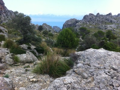 Villa Townhouse LLEÓ57 - Environment photo 18