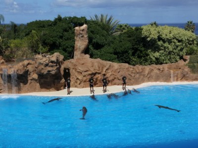 Holiday apartment Casa Pelican Penthouse - Environment photo 18