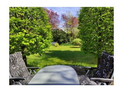 Holiday apartment Naturoase - Outdoor photo 6