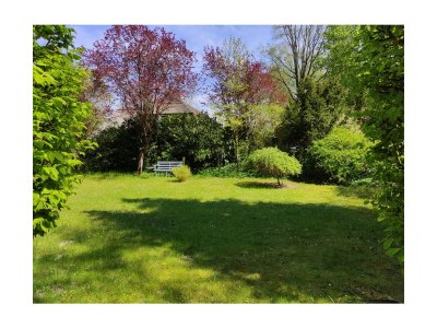 Holiday apartment Naturoase - Outdoor photo 7