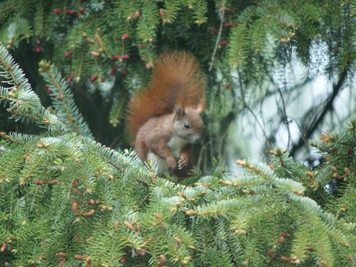 Holiday apartment Naturoase - Outdoor photo 11