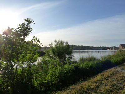 Holiday apartment Naturoase - Environment photo 25