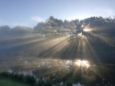 Holiday apartment Naturoase - Environment photo 26