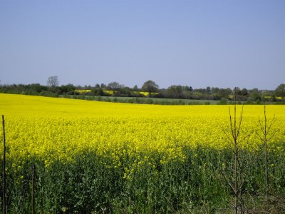 Holiday apartment Naturoase - Environment photo 28