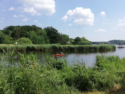 Holiday apartment Naturoase - Environment photo 30