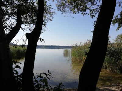 Holiday apartment Naturoase - Environment photo 31