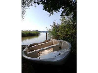 Holiday apartment Naturoase - Environment photo 32