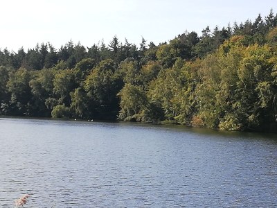 Holiday apartment Naturoase - Environment photo 33