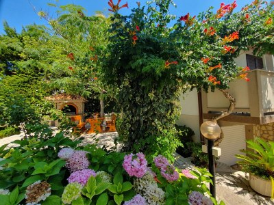 Holiday apartment Apartment Angela with pool - Outdoor photo 13