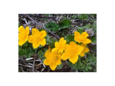 Holiday apartment House Ronacher - Outdoor photo 10