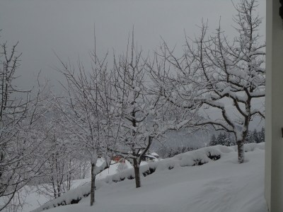 Holiday apartment House Ronacher - Outdoor photo 15