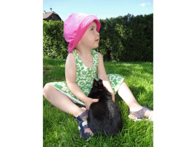 Holiday apartment House Ronacher - Environment photo 32