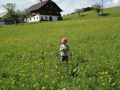 Holiday apartment House Ronacher - Environment photo 33