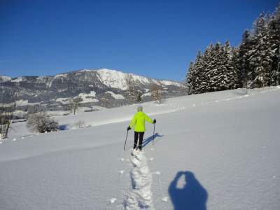 Holiday apartment House Ronacher - Environment photo 35