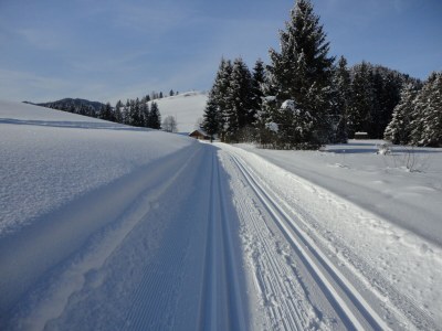 Holiday apartment House Ronacher - Environment photo 36