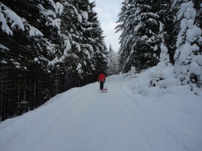 Holiday apartment House Ronacher - Environment photo 37