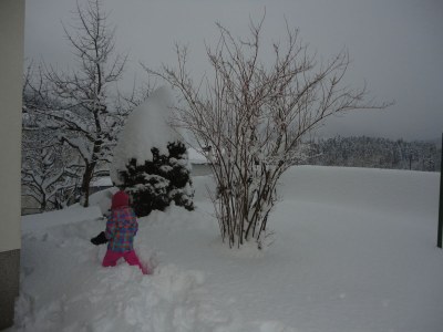 Holiday apartment House Ronacher - Environment photo 38