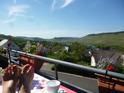 Holiday apartment Pauly´s Traumzeit in Bernkastel-Kues - Holiday apartment