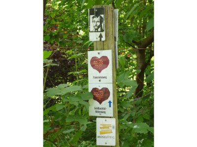 Holiday apartment Pauly´s Traumzeit - Environment photo 12