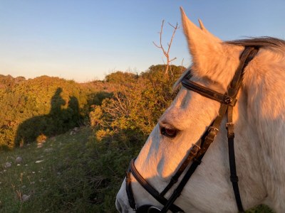 Holiday apartment City holiday apartment by the sea. - Environment photo 37