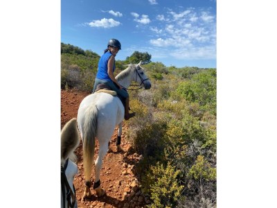 Holiday apartment City holiday apartment by the sea. - Environment photo 38