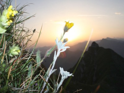 Holiday apartment Lingg - Environment photo 15