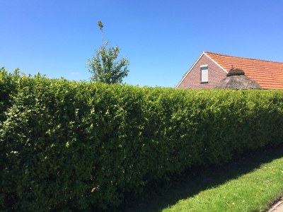 Holiday house Anton - Haus Deichperle - Features photo 20