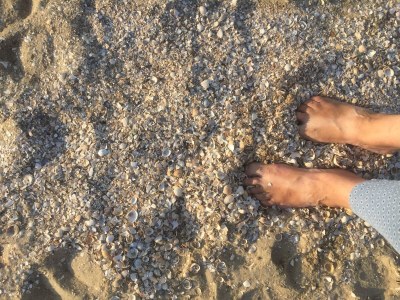 Holiday house Anton - Haus Deichperle - Features photo 25