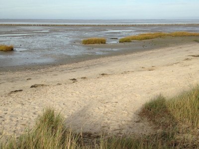 Holiday house Anton - Haus Deichperle - Features photo 28