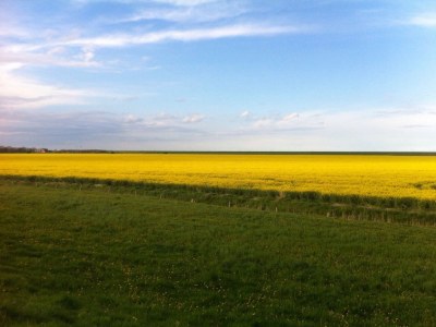 Holiday house Anton - Haus Deichperle - Environment photo 30