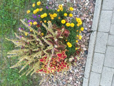 Holiday house Anton - Haus Deichperle - Environment photo 32