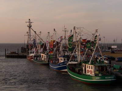 Holiday house Anton - Haus Deichperle - Environment photo 33