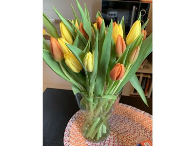 Holiday house Anton - Haus Deichperle - Document photo 41