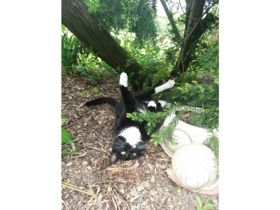 Holiday house Anton - Haus Deichperle - Document photo 42