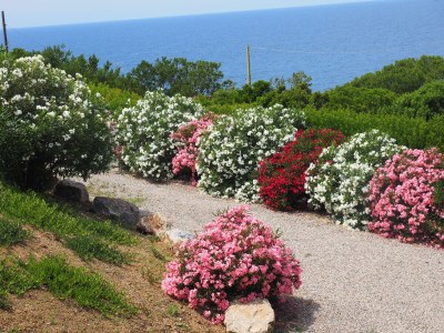 Villa Villetta Casapicci - Outdoor photo 16