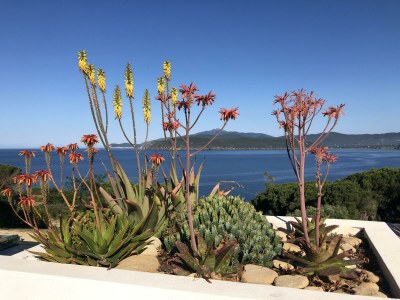 Villa Villetta Casapicci - Outdoor photo 17