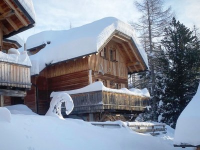 Holiday house Marmot Lodge in Patergassen - Holiday house