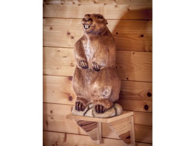 Holiday house Marmot Lodge - Features photo 15