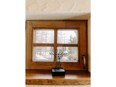 Holiday house Marmot Lodge - Features photo 26